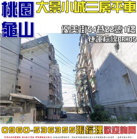 龜山拍賣華廈-0