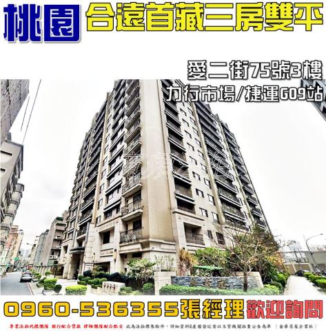 桃園桃園區法拍大樓-0